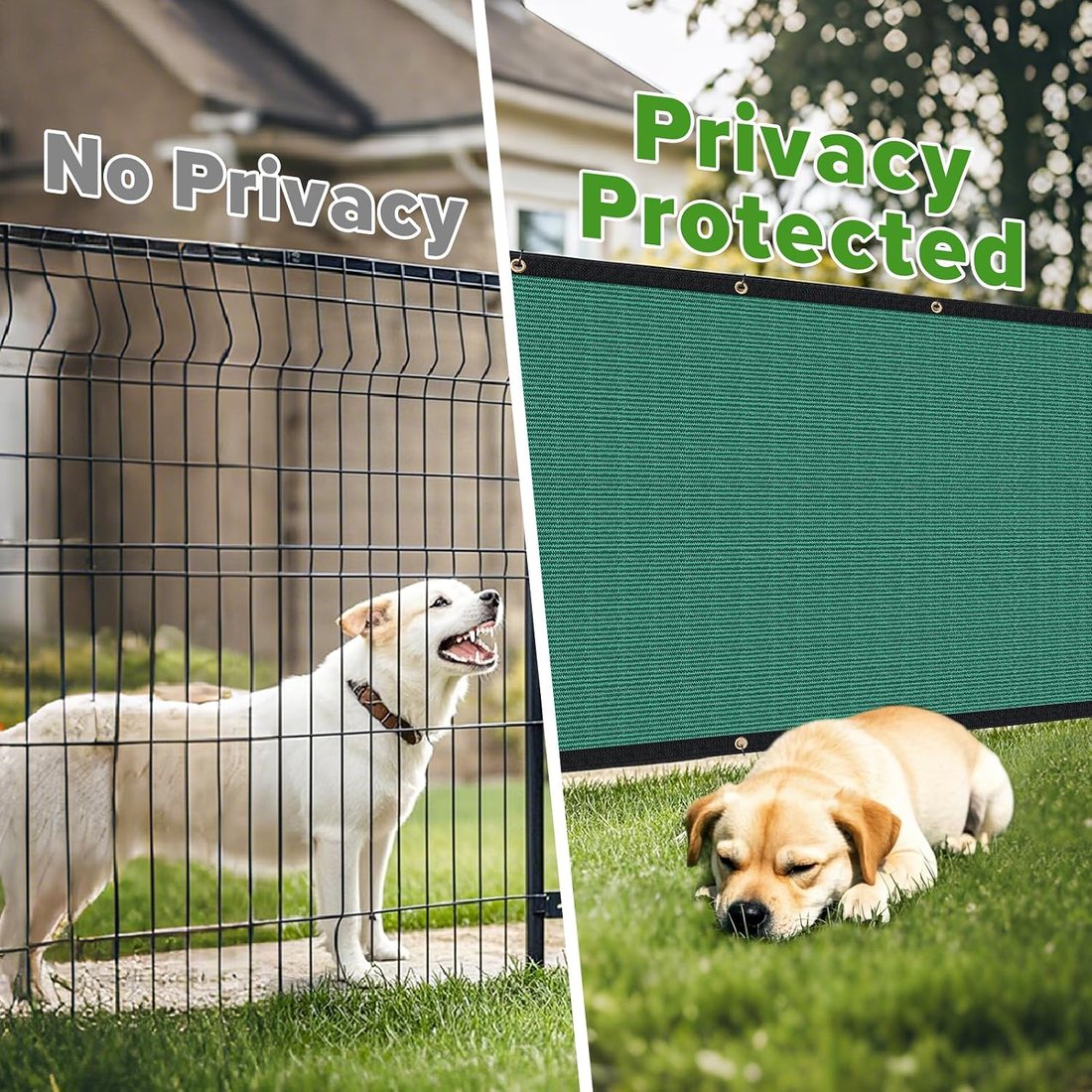 Privacy Screen, Six by Fifty Feet, Green, view 5