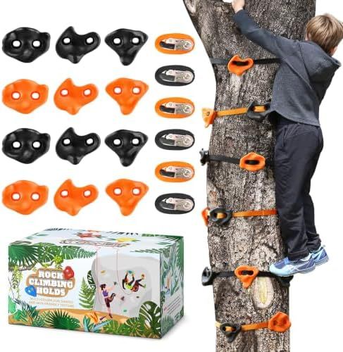 Twelve Trunk Holds, Orange and Black
