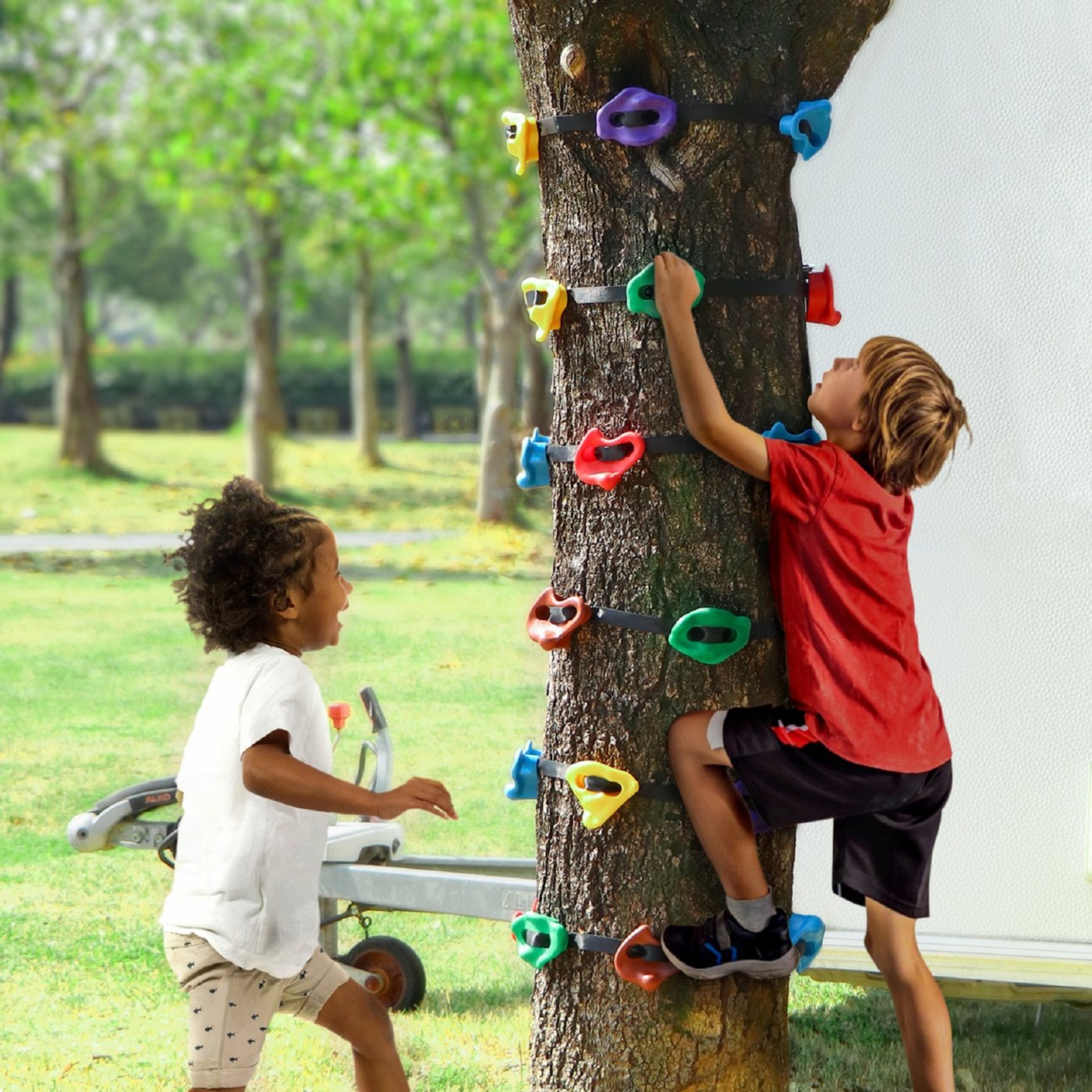 Two climbers on one trunk, the straps carrying the load and the bark untouched.
